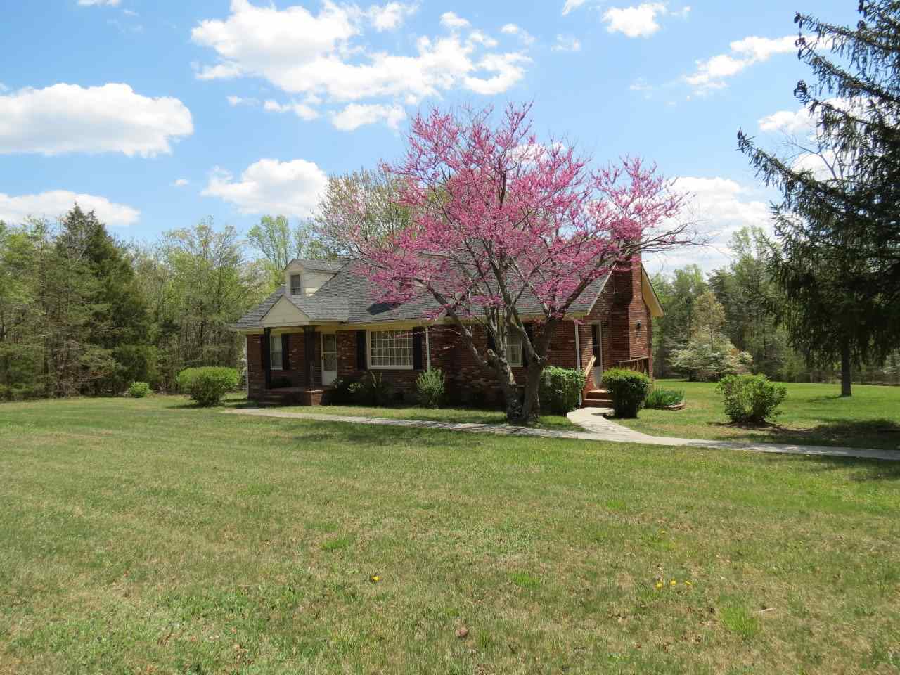 6280 Courthouse Road Louisa, VA 23093 - Photo 2 of 43 a large tree in front of a house