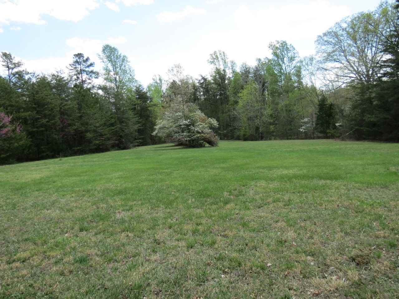 6280 Courthouse Road Louisa, VA 23093 - Photo 35 of 43 a view of a grassy field with trees in the background