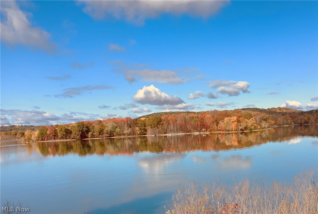 2873 Lodge Road Southwest Sherrodsville, OH 44675 - Photo 47 of 50 A autumn view of the lake from the back yard.