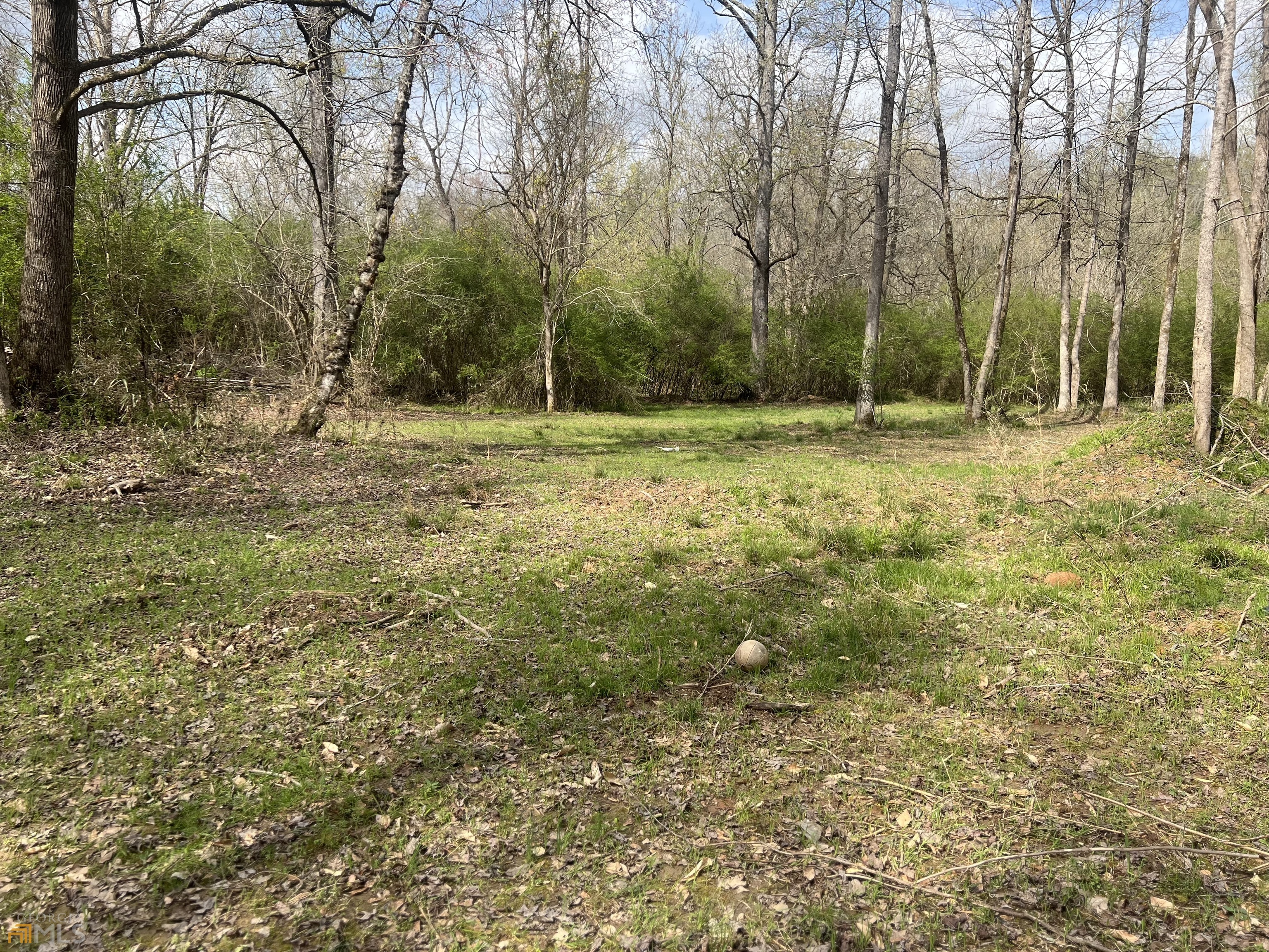 0 Mill Street Elberton, GA 30635 - Photo 1 of 1 Grassy Area near the creek