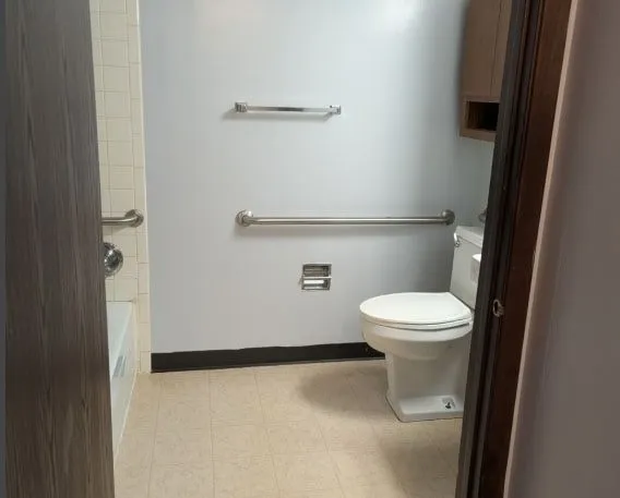 a white toilet sitting next to a white cabinet