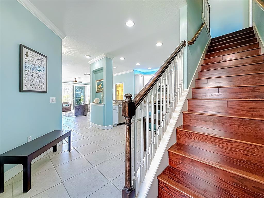 356 Harbor Ridge Drive Palm Harbor, FL 34683 - Photo 21 of 43