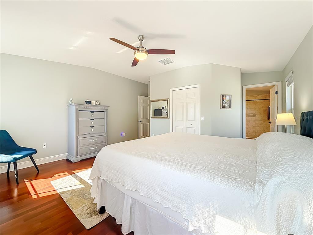 356 Harbor Ridge Drive Palm Harbor, FL 34683 - Photo 24 of 43