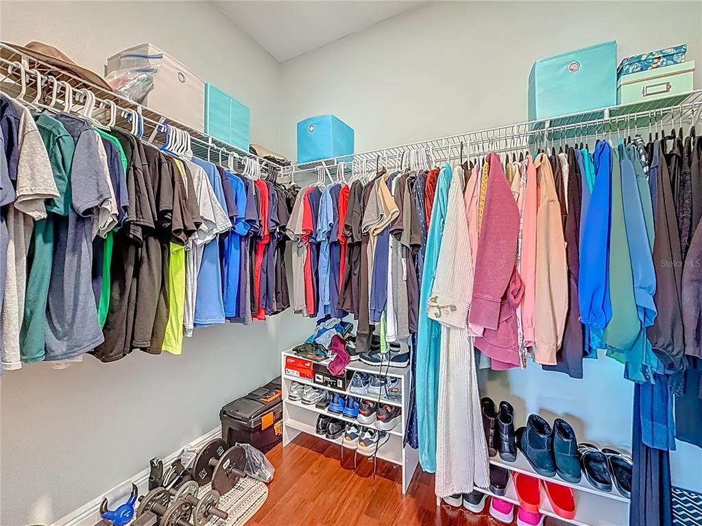 356 Harbor Ridge Drive Palm Harbor, FL 34683 - Photo 26 of 43