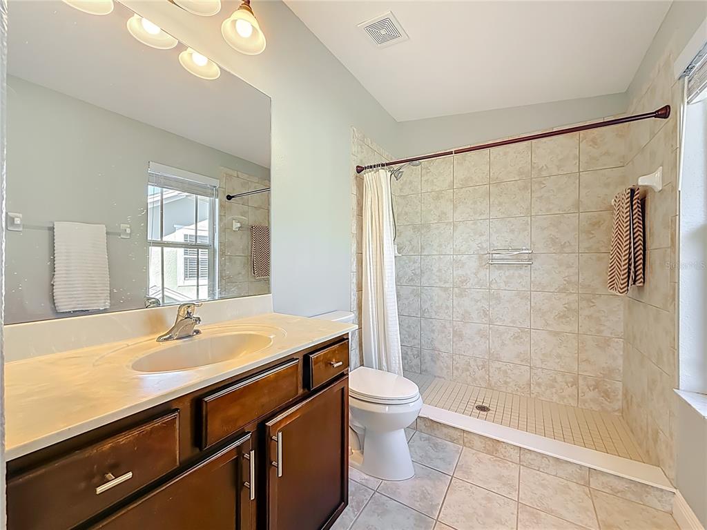 356 Harbor Ridge Drive Palm Harbor, FL 34683 - Photo 27 of 43