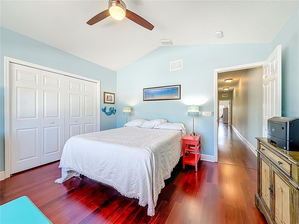 356 Harbor Ridge Drive Palm Harbor, FL 34683 - Photo 31 of 43