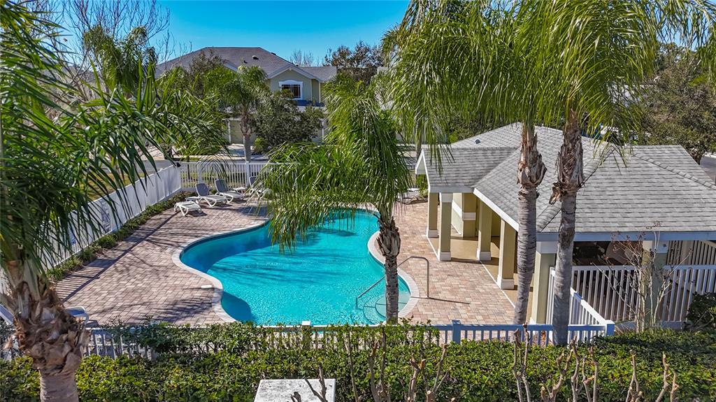 356 Harbor Ridge Drive Palm Harbor, FL 34683 - Photo 38 of 43