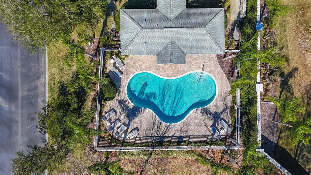 356 Harbor Ridge Drive Palm Harbor, FL 34683 - Photo 39 of 43