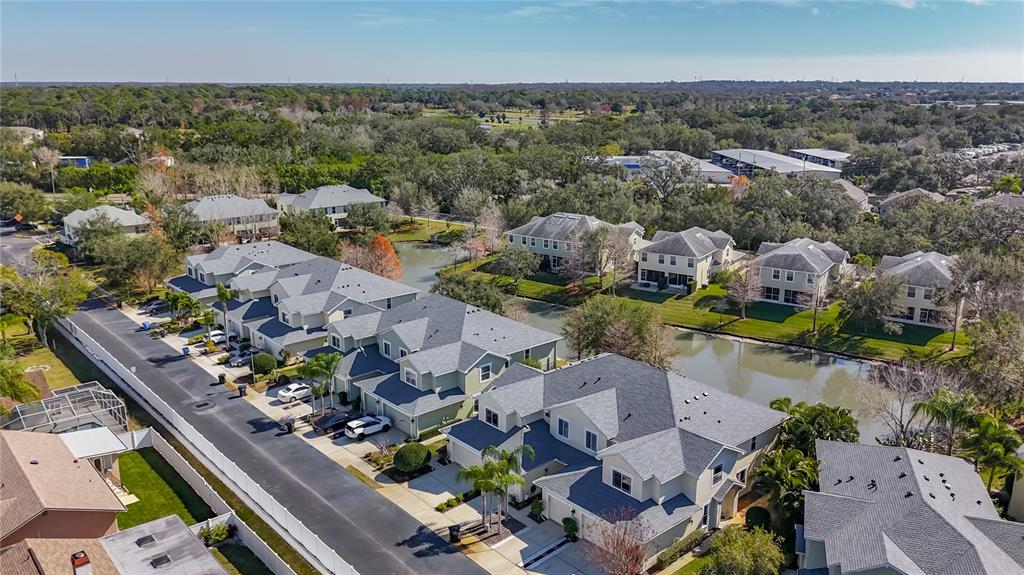 356 Harbor Ridge Drive Palm Harbor, FL 34683 - Photo 40 of 43