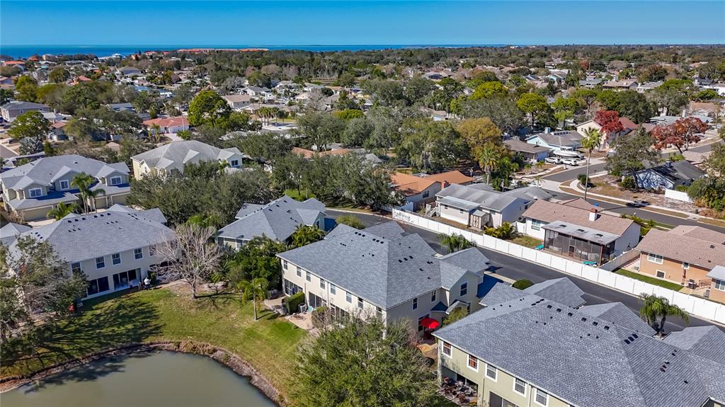 356 Harbor Ridge Drive Palm Harbor, FL 34683 - Photo 42 of 43