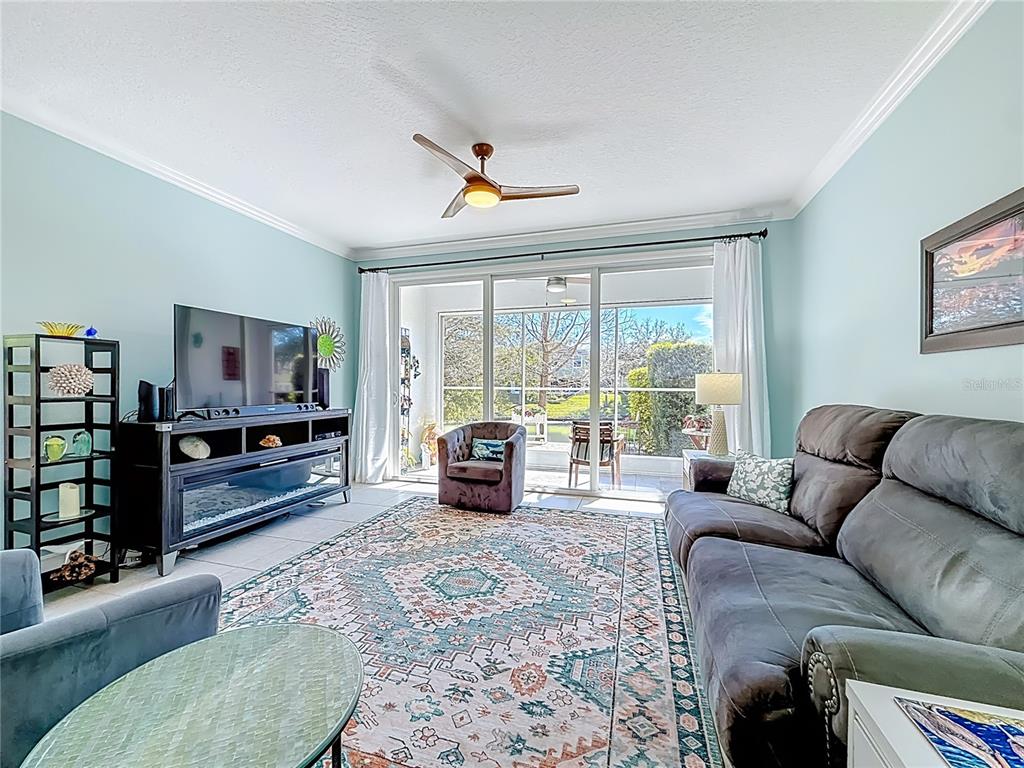 356 Harbor Ridge Drive Palm Harbor, FL 34683 - Photo 9 of 43