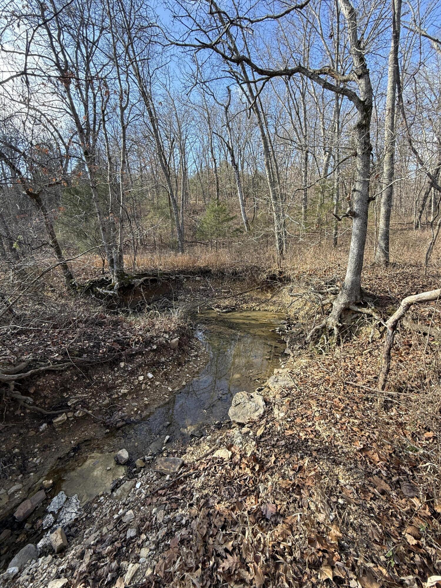 0 Varvel Road Willow Springs, MO 65793 - Photo 14 of 62 IMG_0809