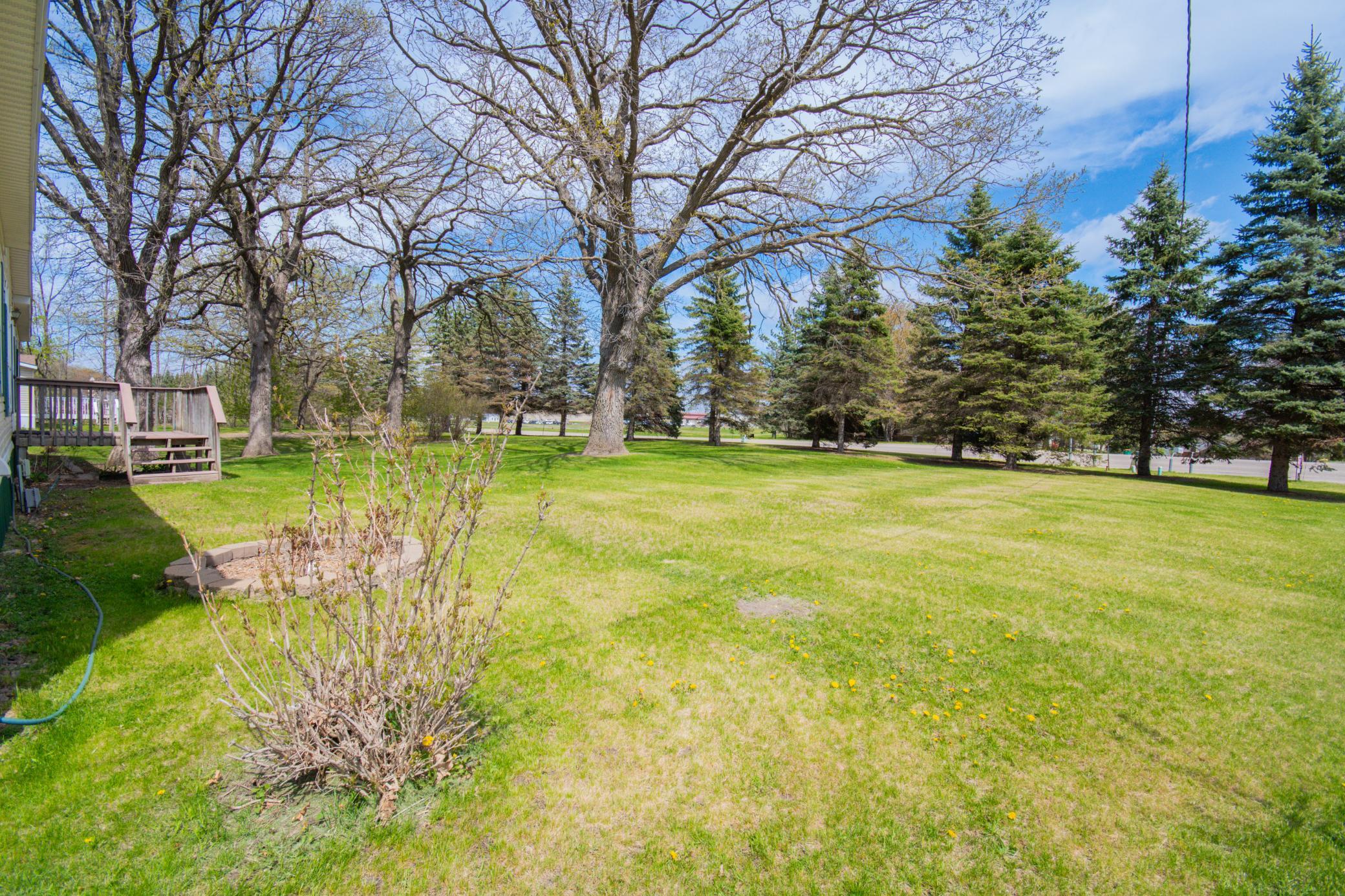 220 Birch Avenue Alexandria, MN 56308 - Photo 31 of 31
