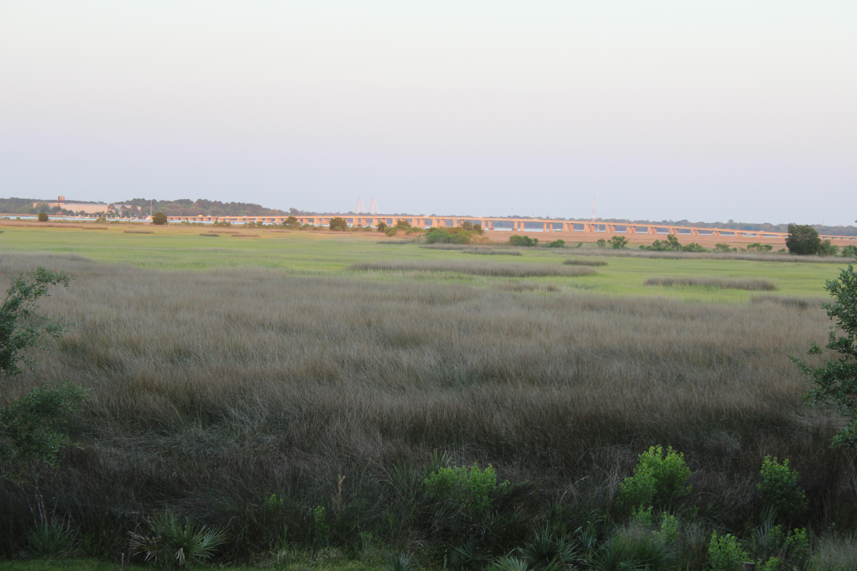 2375 Rice Pond Road Charleston, SC 29414 - Photo 3 of 5 IMG_5037