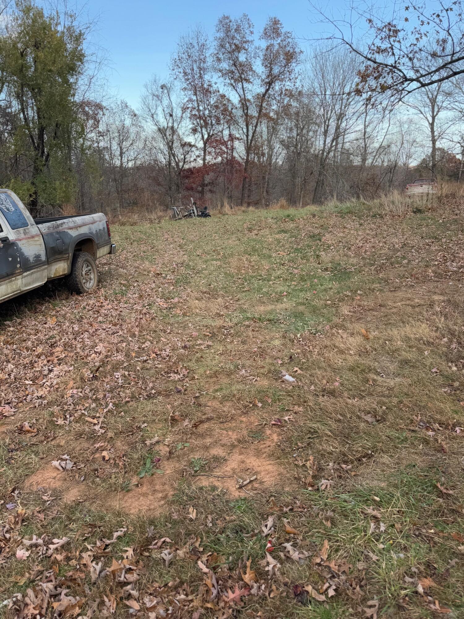 1240 Deep Woods Road Hardy, VA 24101 - Photo 4 of 4 a backyard of a house with lots of green space