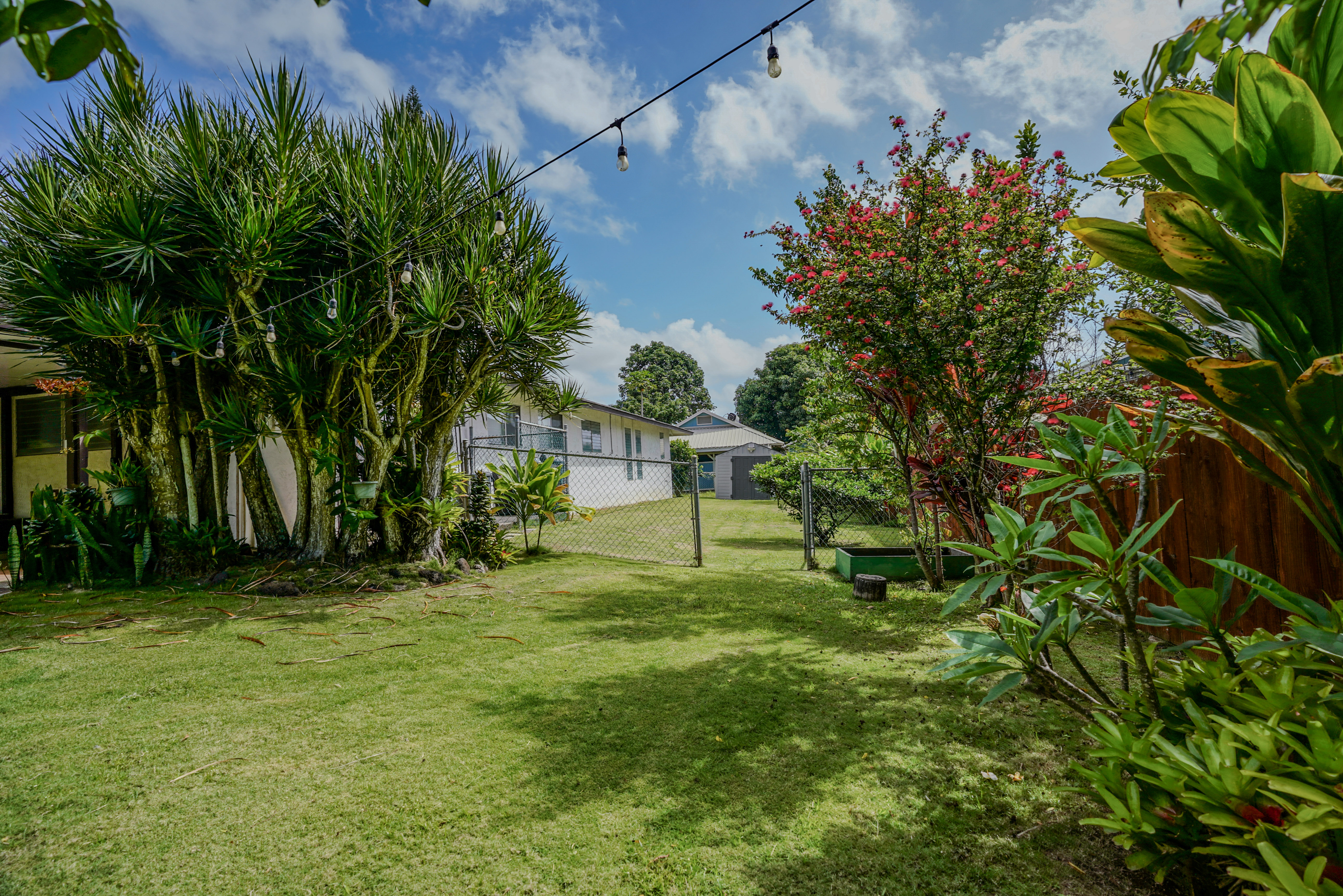 316 A Makani Road, Unit A Kapaa, HI 96746 - Photo 22 of 29 a garden with trees in front of it