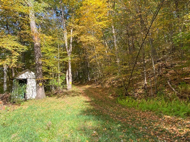 249 River Road Chenango Forks, NY 13746 - Photo 5 of 5 Gallery Image 5
