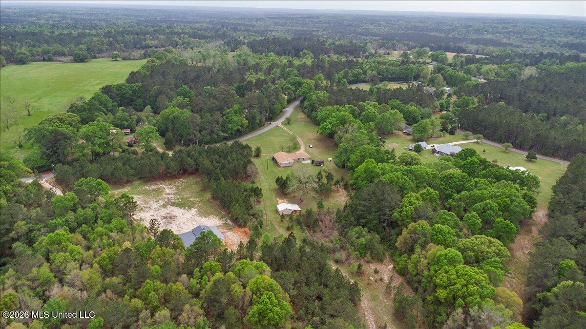 685 Big 4 Road Wiggins, MS 39577 - Photo 45 of 50 41-DJI_0311
