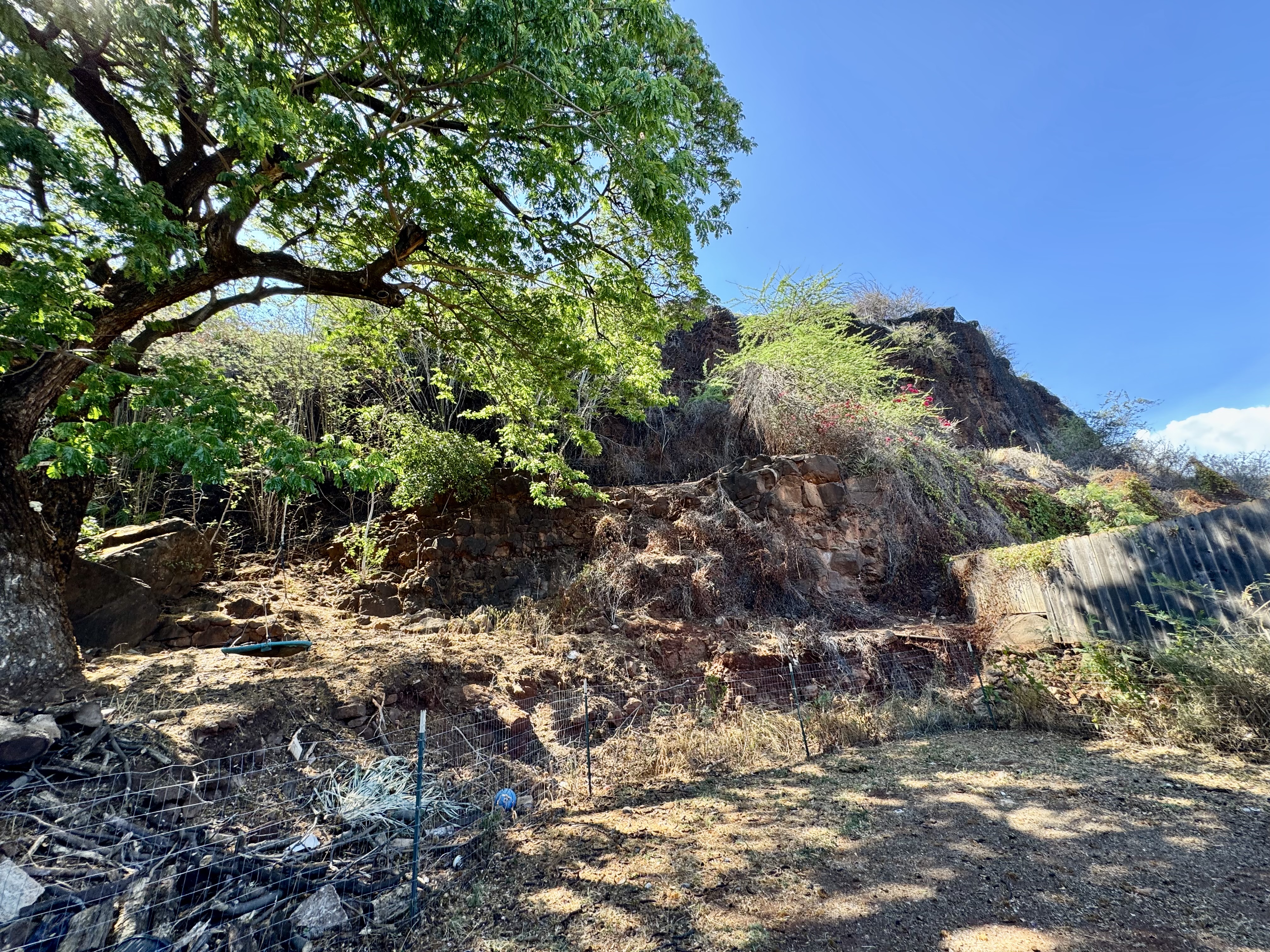 4611 Menehune Road, Unit 2 Waimea, HI 96796 - Photo 6 of 25 a view of a tree with a yard