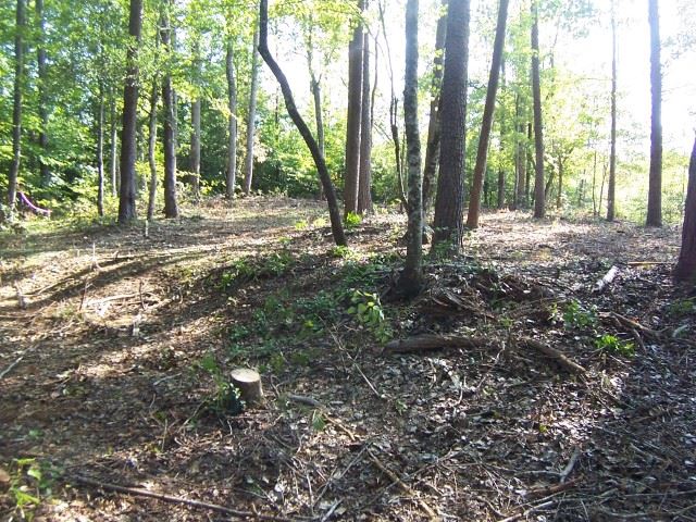 624 State Rd S-37-577 Salem, SC 29676 - Photo 17 of 31 Gallery Image 17