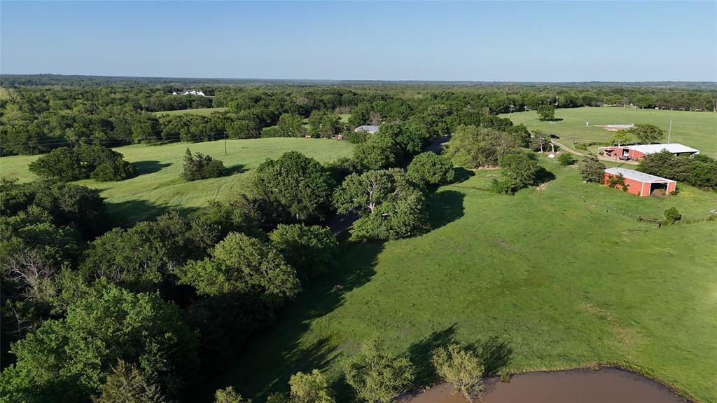 1 Dripping Springs Road Denison, TX 75021 - Photo 5 of 20 a view of a lush green forest with lots of trees