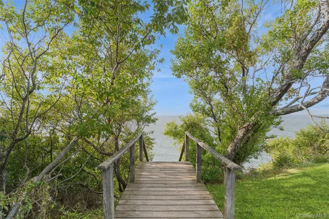 a view of a yard with a tree