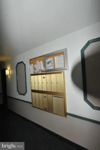 a view of park with large trees