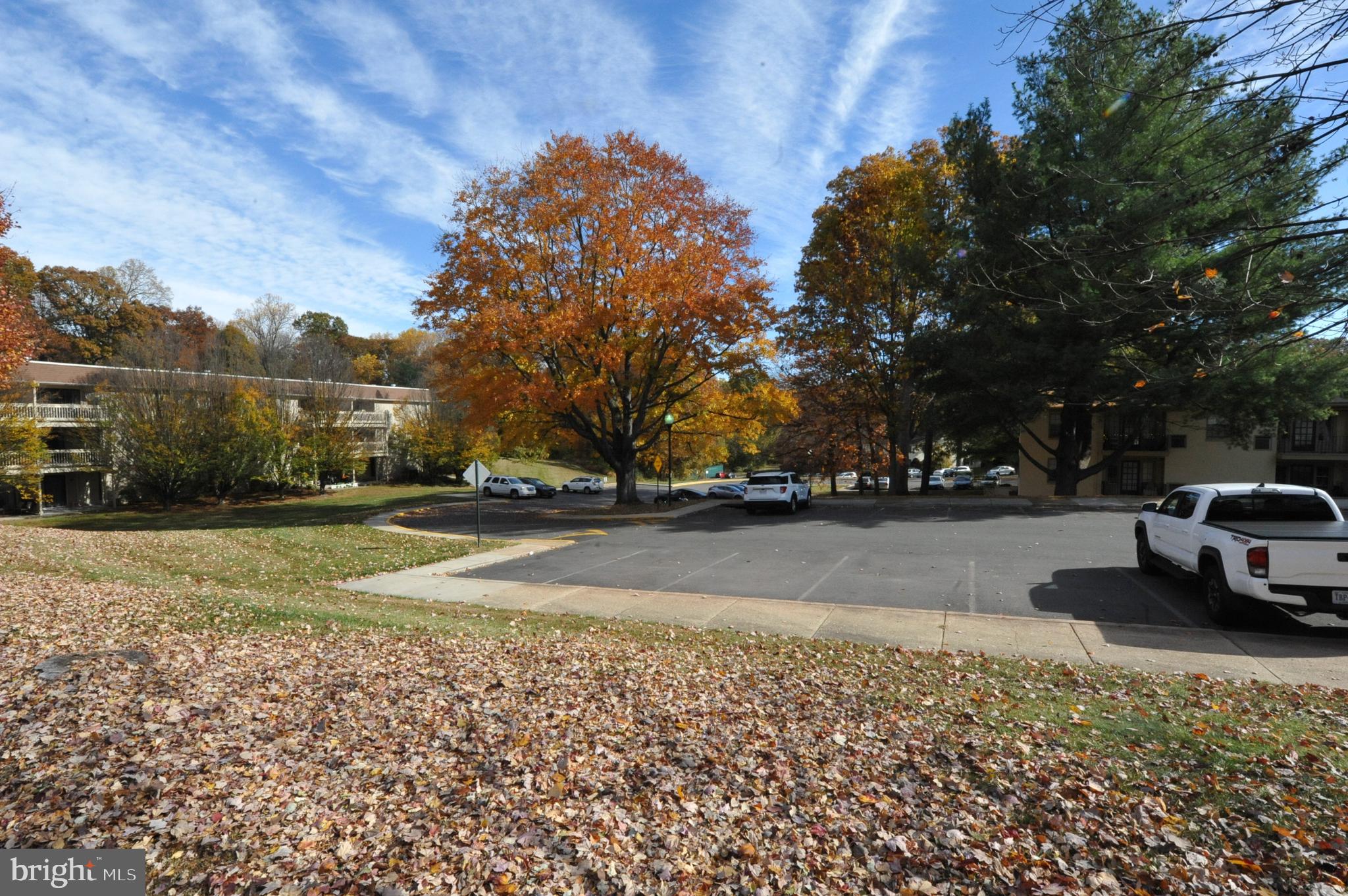 5900 K Surrey Hill Place, Unit 697 Springfield, VA 22152 - Photo 22 of 32 a view of park with large trees