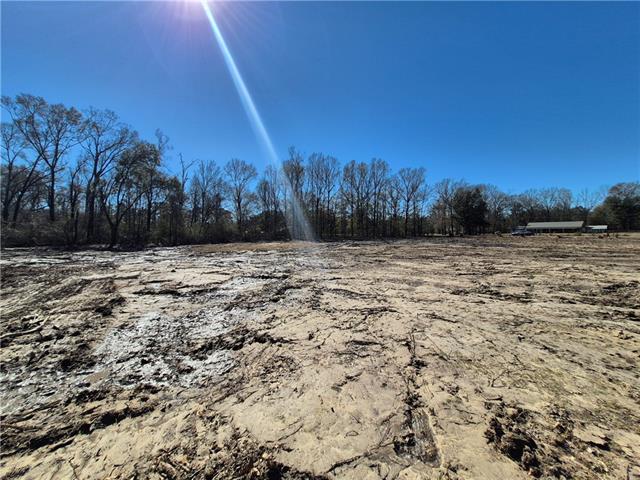 Tract B Stafford Road Tickfaw, LA 70466 - Photo 2 of 2