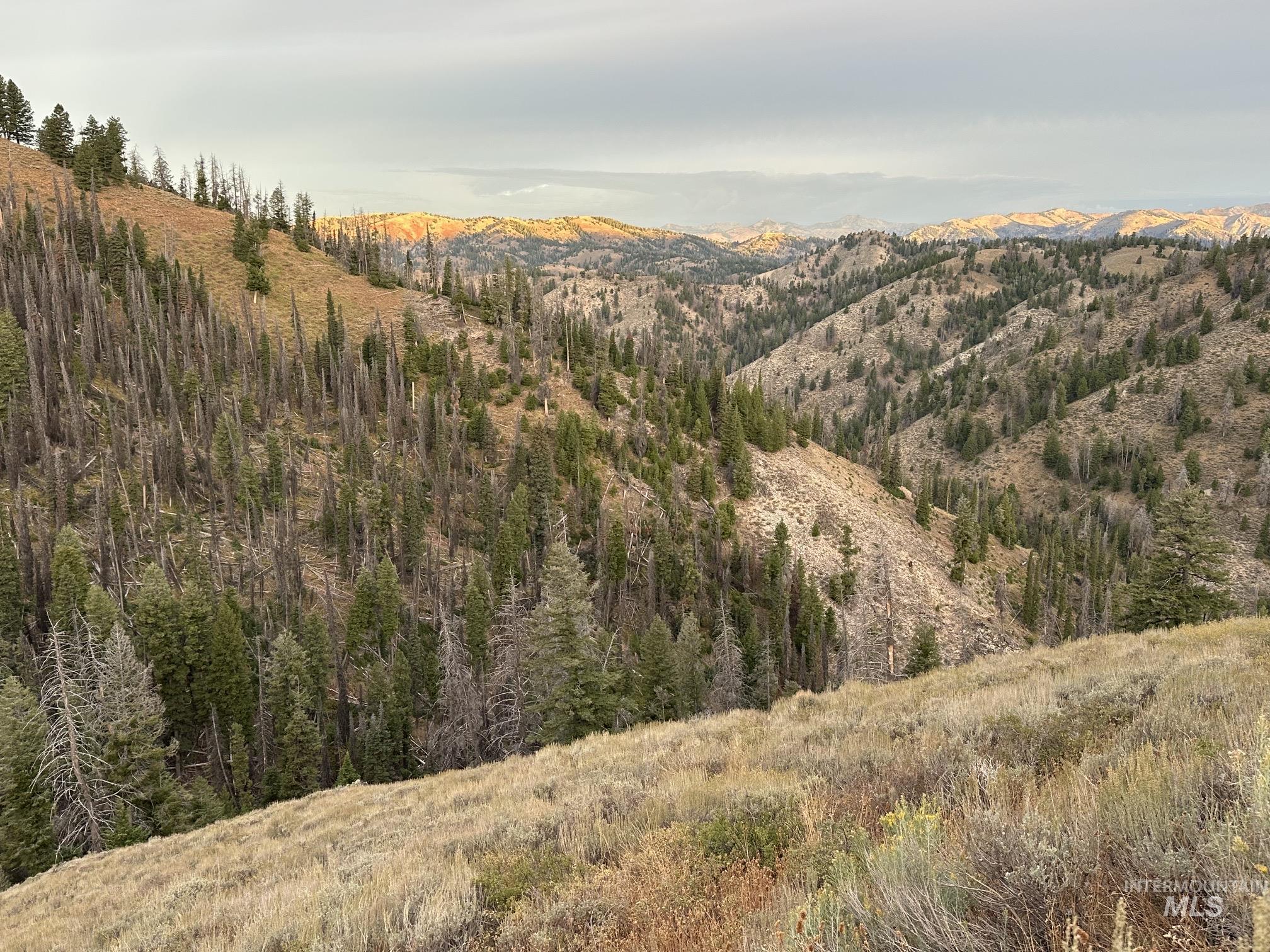 Carrie Creek Road Fairfield, ID 83327 - Photo 19 of 22 Gallery Image 19