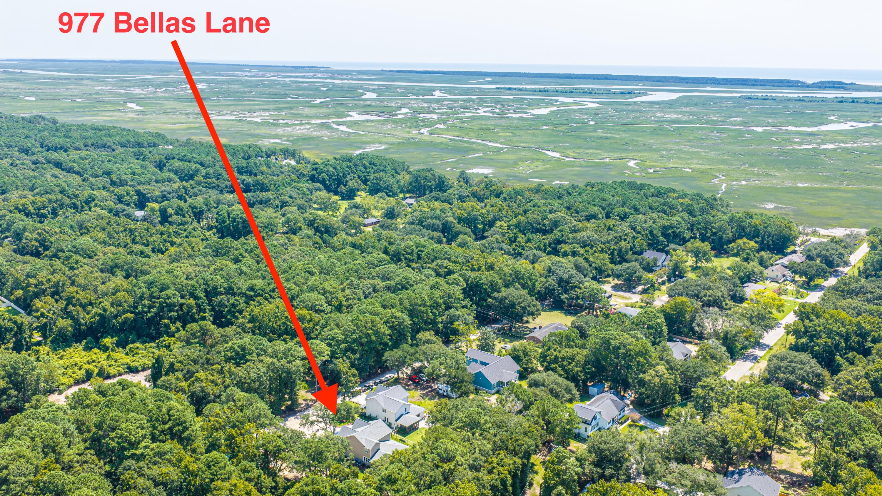 977 Bellas Lane Awendaw, SC 29429 - Photo 80 of 87 977BellasLn092