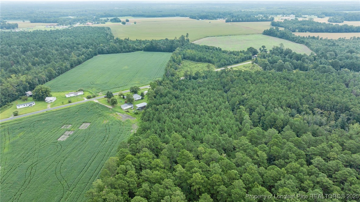 3045 Bridgers Road Rowland, NC 28383 - Photo 11 of 18