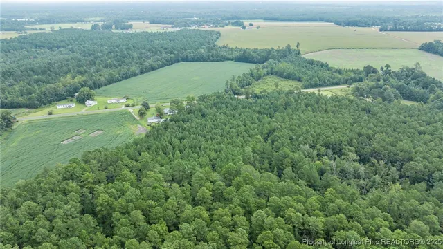 a view of a field with an ocean