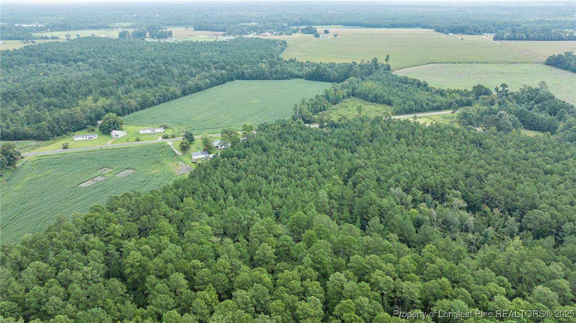 3045 Bridgers Road Rowland, NC 28383 - Photo 12 of 18