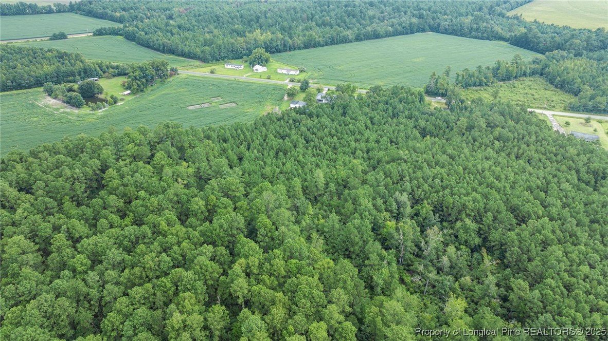 3045 Bridgers Road Rowland, NC 28383 - Photo 13 of 18
