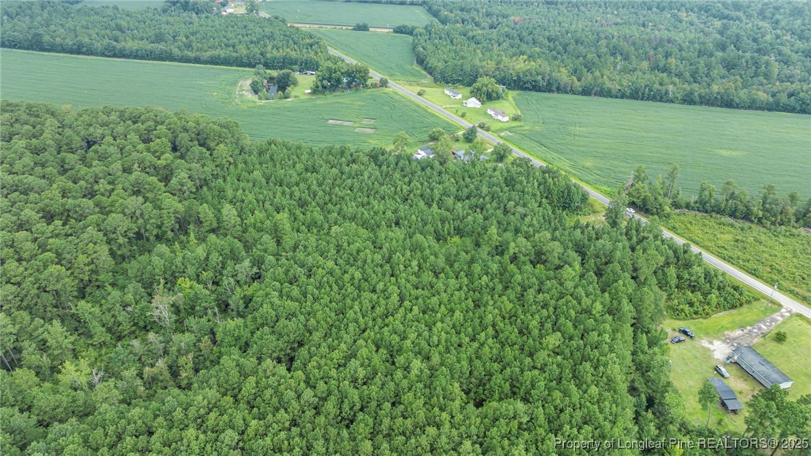 3045 Bridgers Road Rowland, NC 28383 - Photo 15 of 18