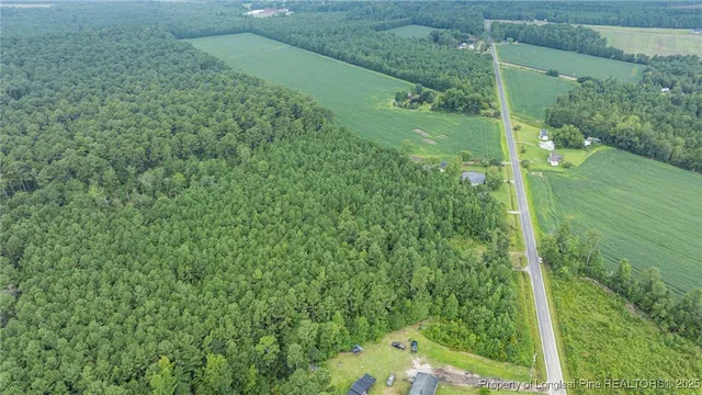 a view of a green yard with large trees