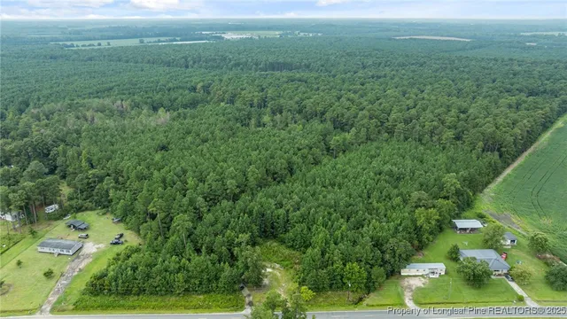 a view of a green field with lots of bushes