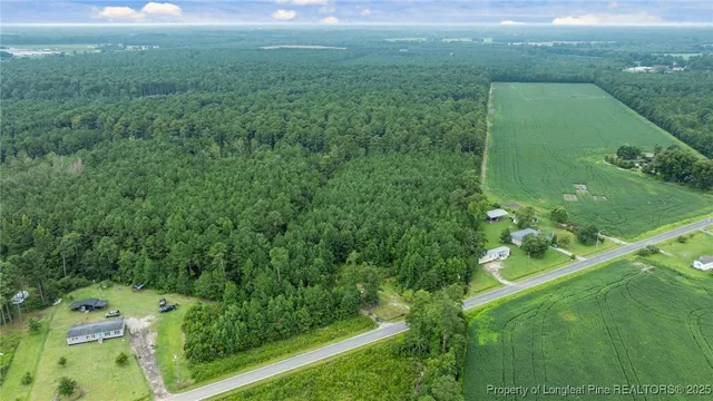 a view of a garden from a balcony