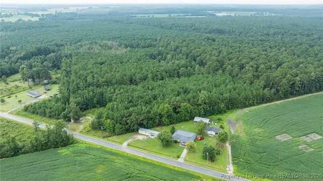 a view of a garden with an outdoor space