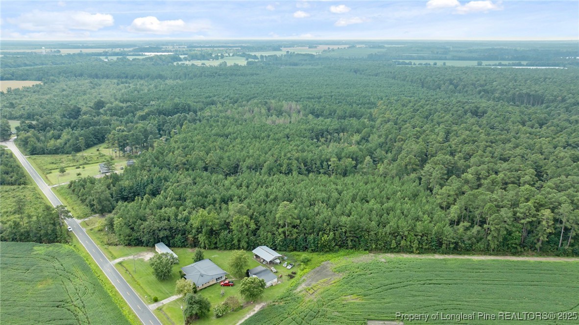 3045 Bridgers Road Rowland, NC 28383 - Photo 8 of 18