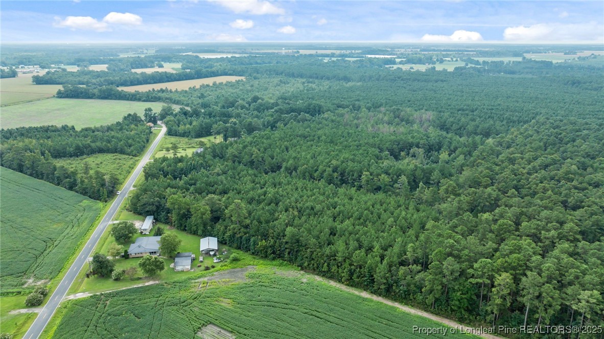 3045 Bridgers Road Rowland, NC 28383 - Photo 9 of 18
