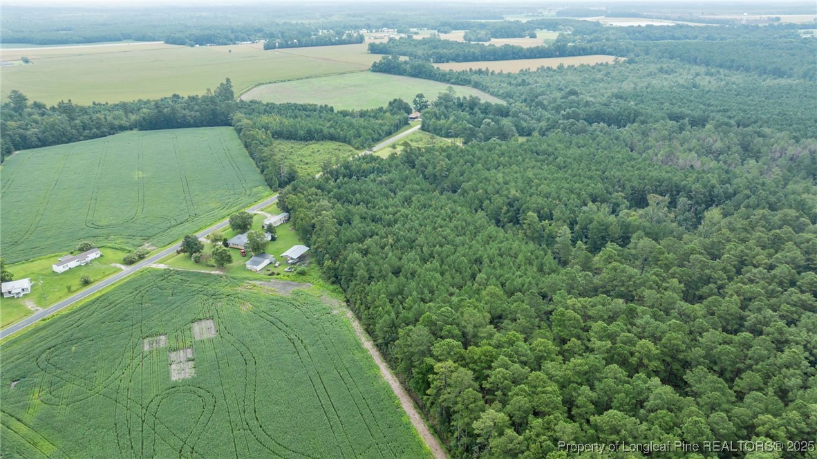 3045 Bridgers Road Rowland, NC 28383 - Photo 10 of 18