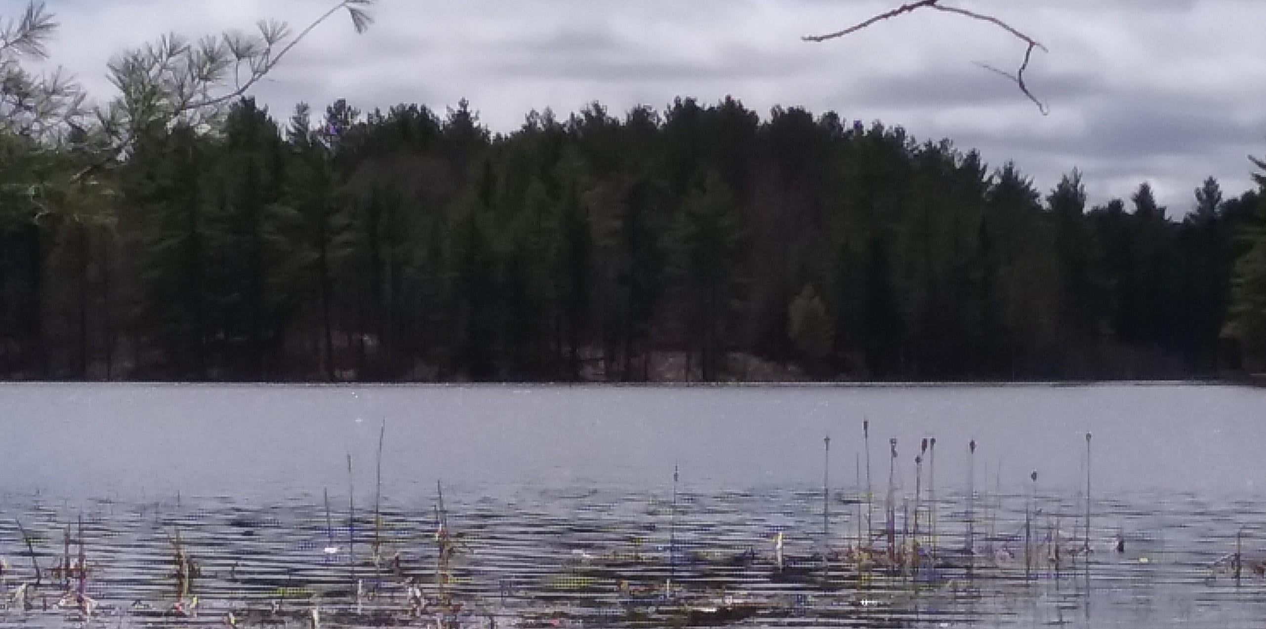 Murner Road Gaylord, MI 49735 - Photo 2 of 16