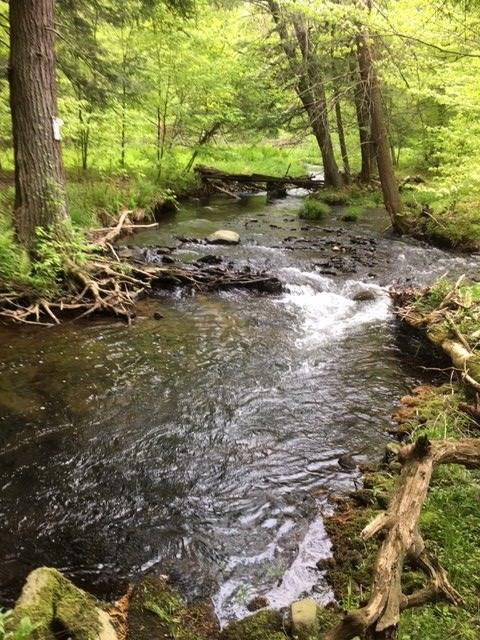 1368 Methol Road Roscoe, NY 12776 - Photo 1 of 1 Gallery Image 1