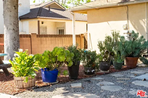 a potted plant sitting in front of a house