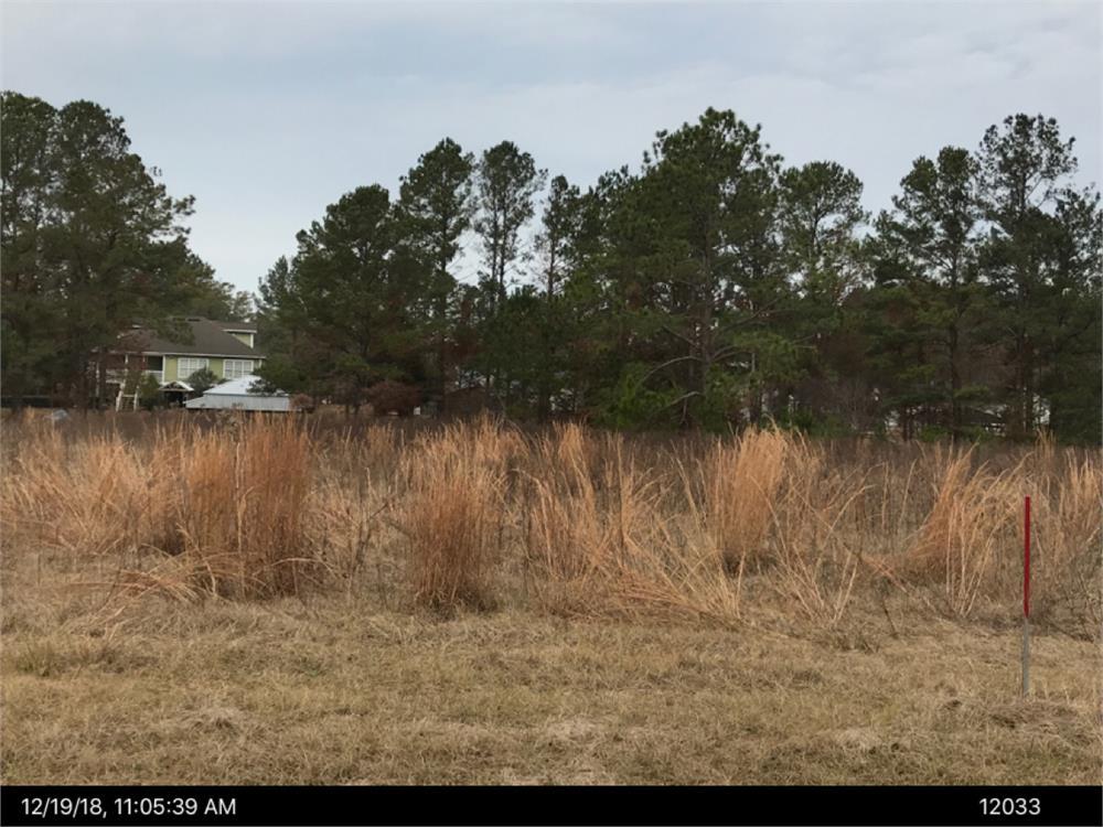 0 Valhalla Road South Cordele, GA 31015 - Photo 1 of 1 Gallery Image 1