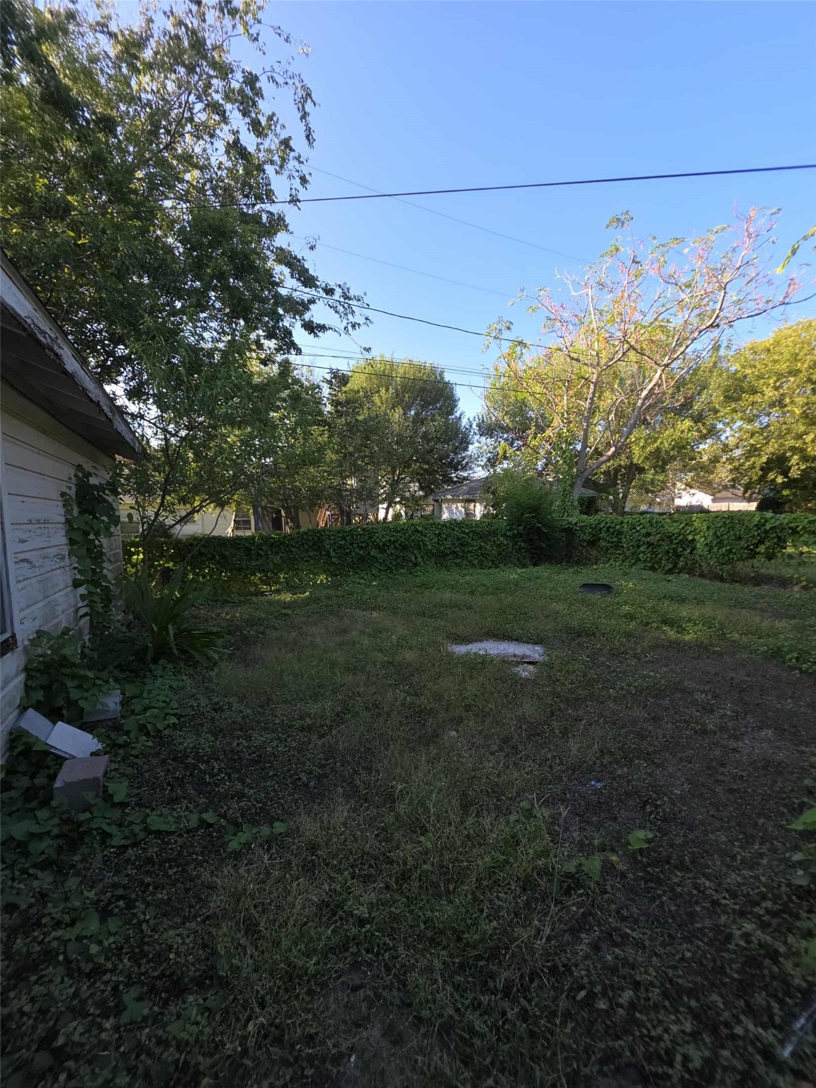 115 Bell Street Point Comfort, TX 77978 - Photo 14 of 24 a view of a yard