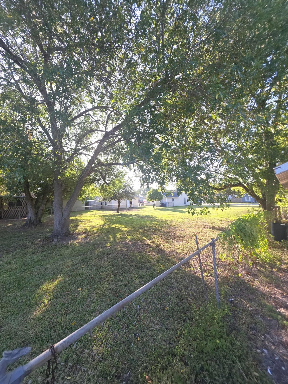 115 Bell Street Point Comfort, TX 77978 - Photo 7 of 24 a view of yard with green space and trees