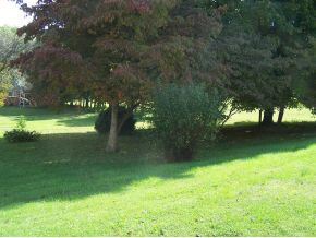 2217 Wyndale Road Johnson City, TN 37604 - Photo 7 of 8 Photo 7